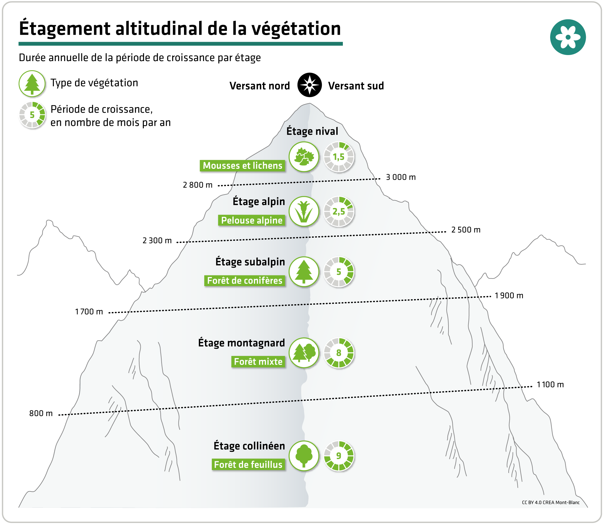 Durée annuelle de la période de croissance par étage