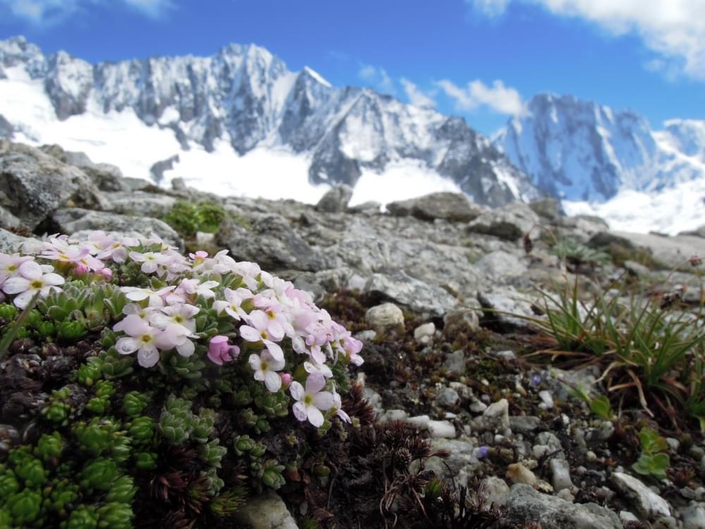 Photo du massif du mont blanc