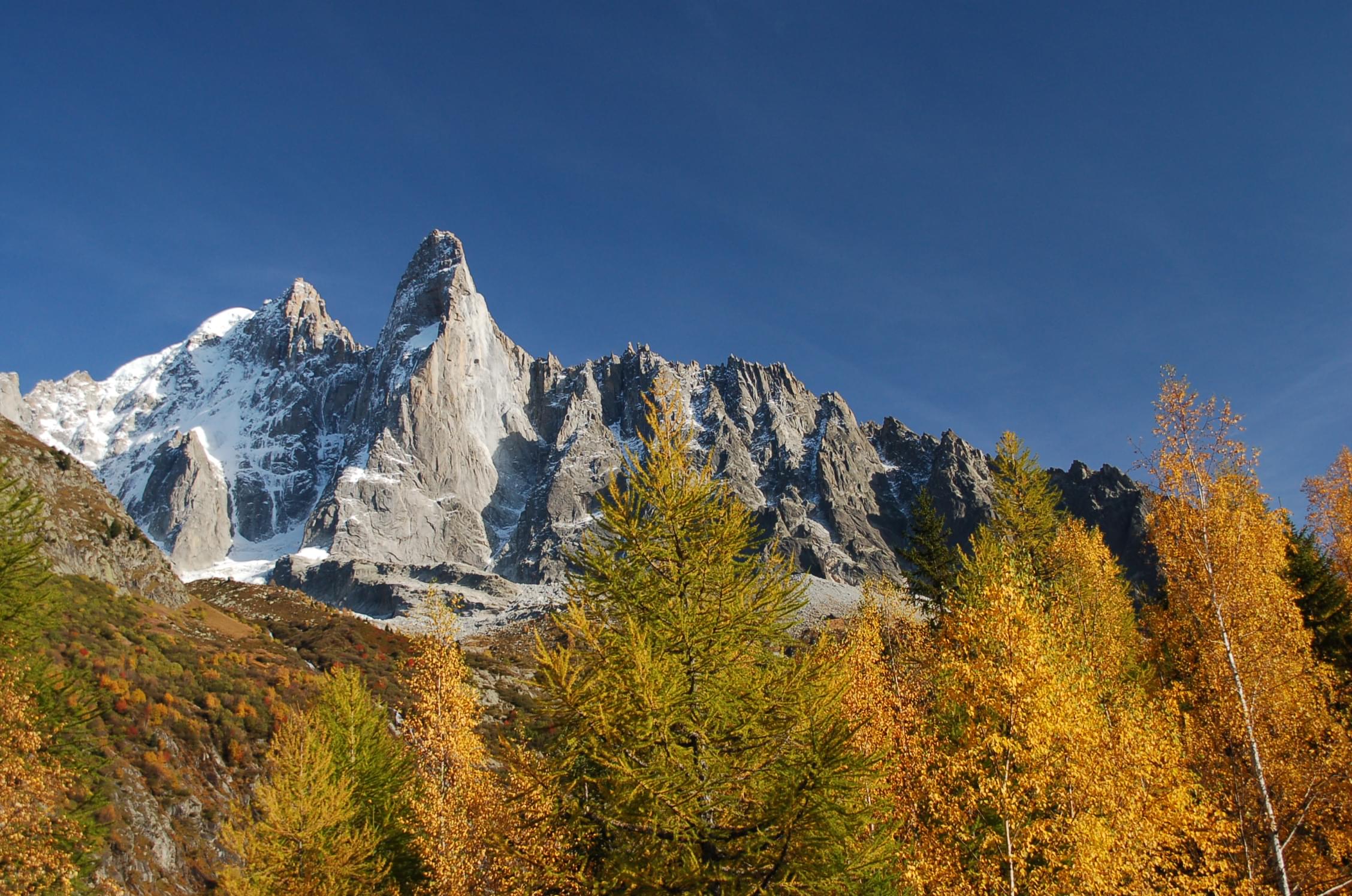 Montagne et végétation